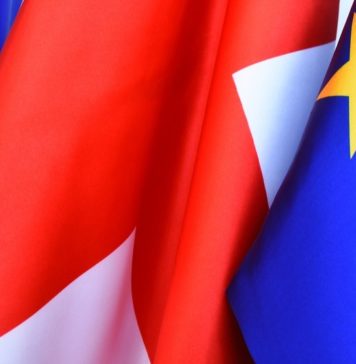 საქართველოს მოქალაქეებისთვის უვიზო მიმოსვლის დღეების მთვლელი მობილური აპლიკაცია იქმნება