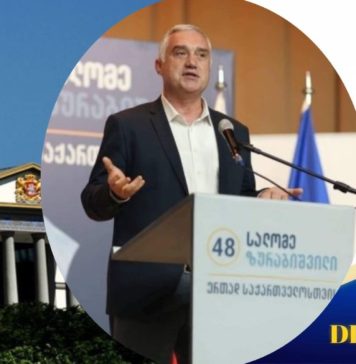 ზვიად ძიძიგური 28 ოქტომბერს ამომრჩეველს სალომე ზურაბიშვილის მხარდაჭერისკენ მოუწოდებს